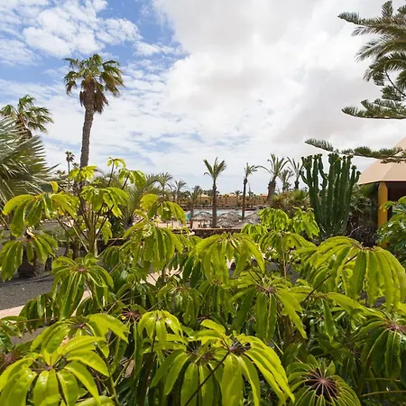 Apartamento Oasis Con Piscina En Corralejo 아파트 *